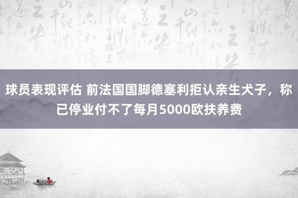 球员表现评估 前法国国脚德塞利拒认亲生犬子，称已停业付不了每月5000欧扶养费