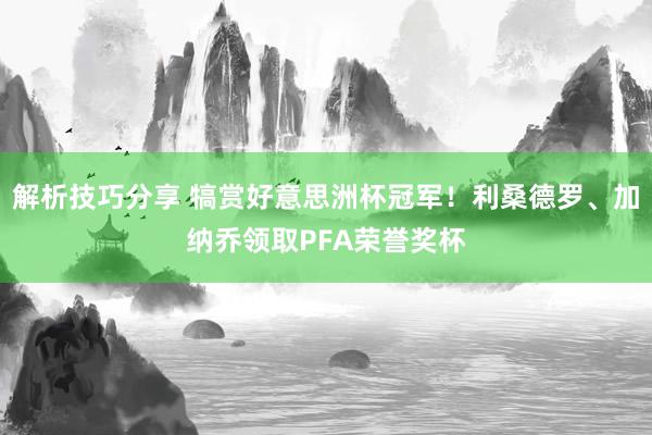 解析技巧分享 犒赏好意思洲杯冠军！利桑德罗、加纳乔领取PFA荣誉奖杯